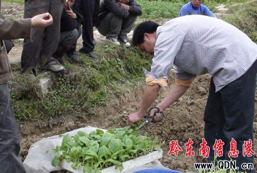 �����h����