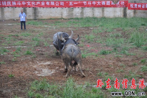 �M·������߄� �f��