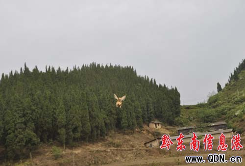 ���w�����u ���u�еġ����u�����D��