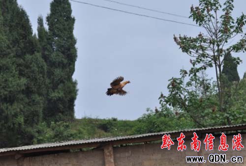 ���w�����u ���u�еġ����u�����D��