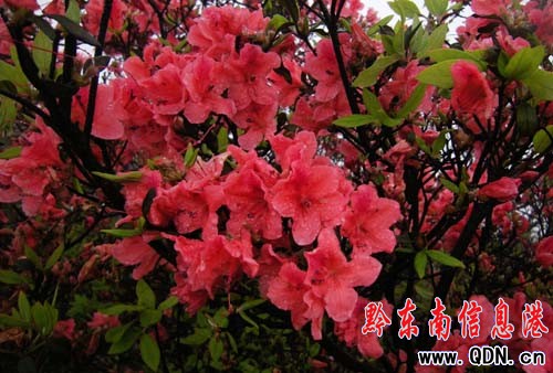 ��կ�f��Ұ�����N�����G����Ҳ�������M�D��