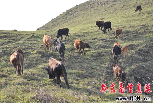 ��һ��(ji��)�_���tꖾ��^(q��)�����{�ο���A���D��