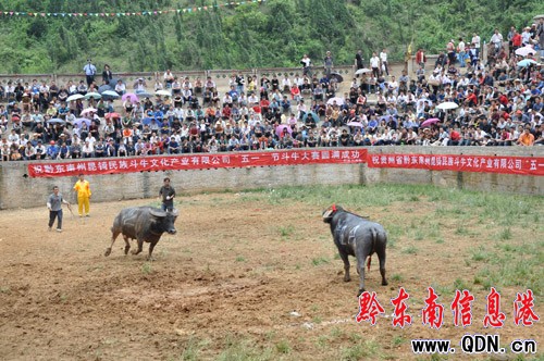 �Ї����ţ��Ǻ�ͳ� �M���_�𼴔�ǣ��D��