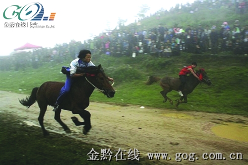 �Sƽ�e�k�������J�ϕ������D��