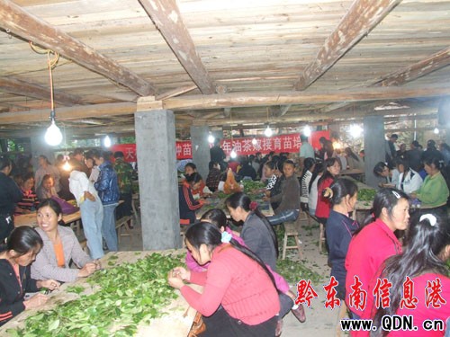 �����h�M��ǧ�ˌW���Ͳ���޽Ӽ��g���D��