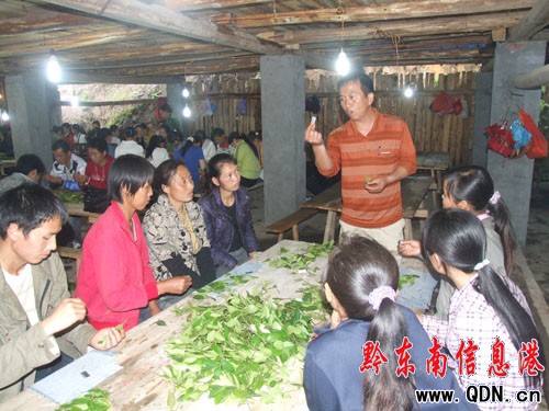 �����h�M��ǧ�ˌW���Ͳ���޽Ӽ��g���D��