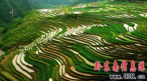 ʩ�����������箋���������zӰ�ۺ��ߣ��M�D��