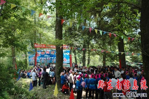 ɭ��������w�P �����e�k�������D��