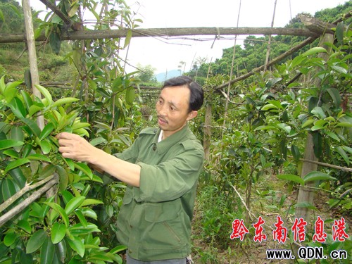 �\��ԭ���B(t��i)���}�����L��ϲ���S���������D��