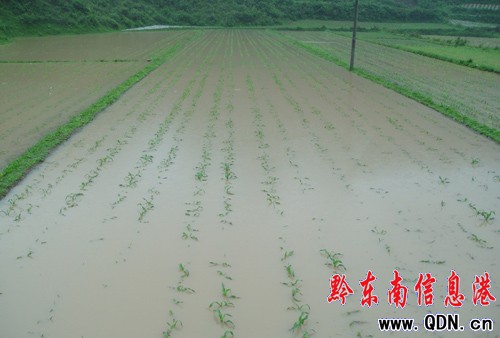 �(zh��n)�h(yu��n)���Ž���125.7mm �pʧ��ǧ�f(w��n)���M�D��