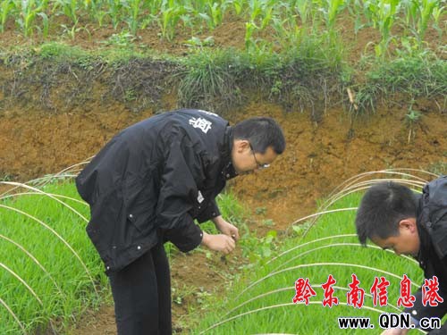 ��կ�����������L�� �������r(n��ng)���������D��