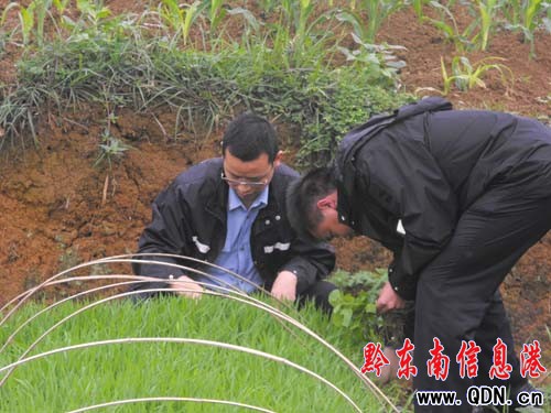 ��կ�����������L�� �������r(n��ng)���������D��