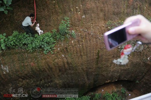 �����T�������¾Ȍ��ﹷ(�M�D)