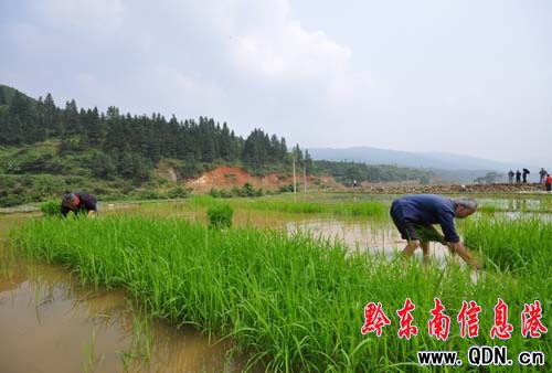 �����²�ͣ �r��æ�������M�D��