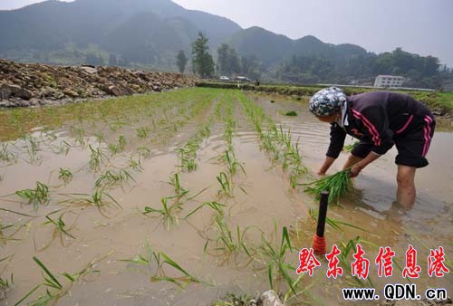 �����²�ͣ �r��æ�������M�D��