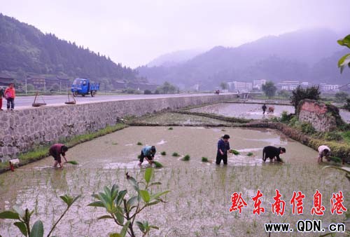 �����²�ͣ �r��æ�������M�D��