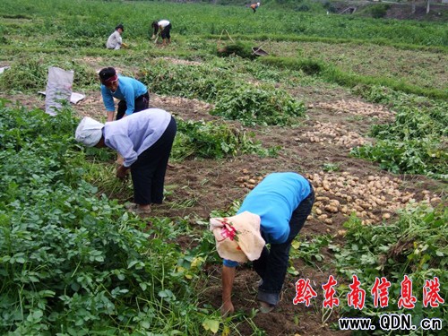 �������Ó���R����@�S�գ��D��