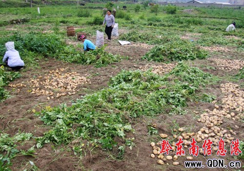 �������Ó���R����@�S�գ��D��