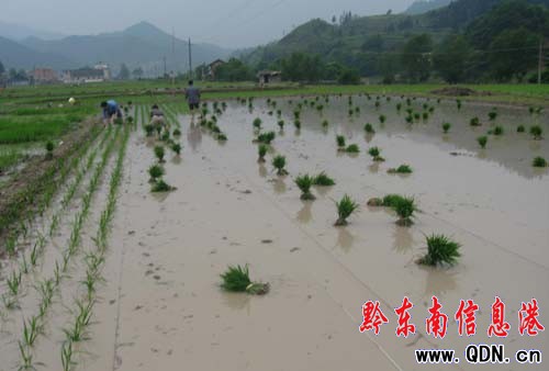 �����hˮ���߮aʾ���c����������Թ���(�D)