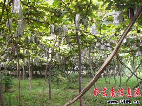 ���Ѵ��ϡ������¡�������ɽ�r�������¸���