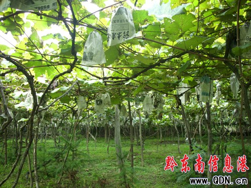 ���Ѵ��ϡ������¡�������ɽ�r�������¸���