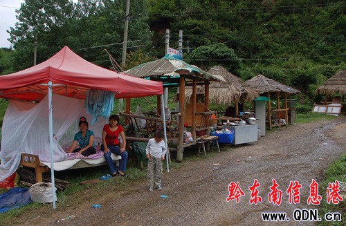 �P������� ���r�Ҙ������ ľ�򱻛_�����D��