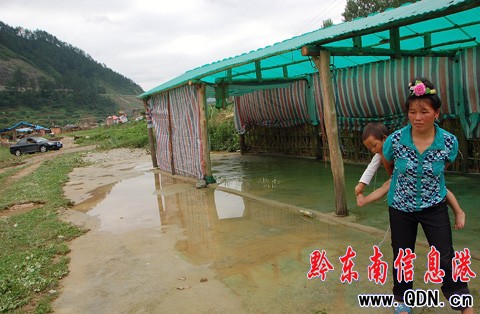 �P������� ���r�Ҙ������ ľ�򱻛_�����D��