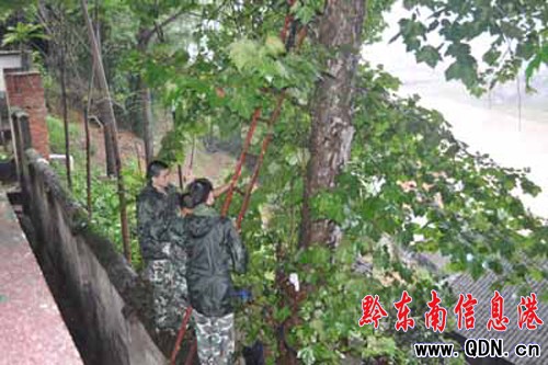 �Ř䡰������Σ���W����ȫ �Ľ����������[��