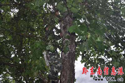 �Ř䡰������Σ���W����ȫ �Ľ����������[��