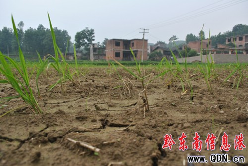 �억���������硰���ʡ����M�D��