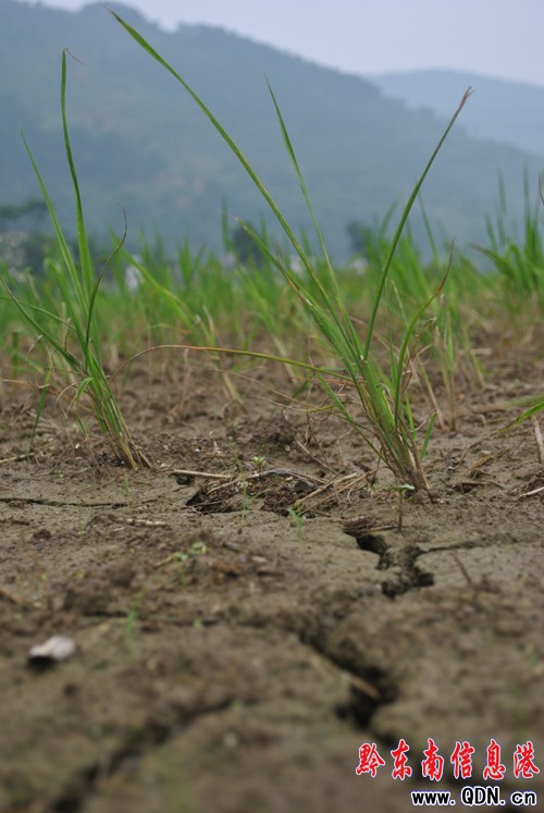 �억���������硰���ʡ����M�D��