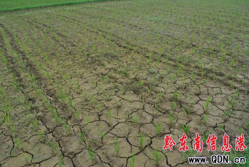 �억���������硰���ʡ����M�D��