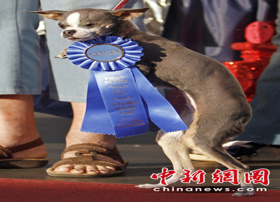 2010�������С����ِ�e��