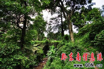 �Ř����˵Ķ�կ�������D��