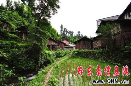 �Ř����˵Ķ�կ�������D��