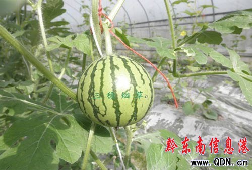 ����h�����������C�����������r������