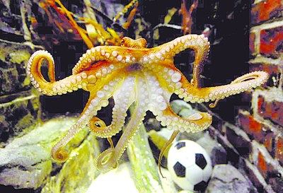 �����~�硱��?q��)����Ї�ˮ���^(�D)