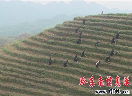 �_����ǧ�����y���o����Ⱥ��������ϣ�����D��