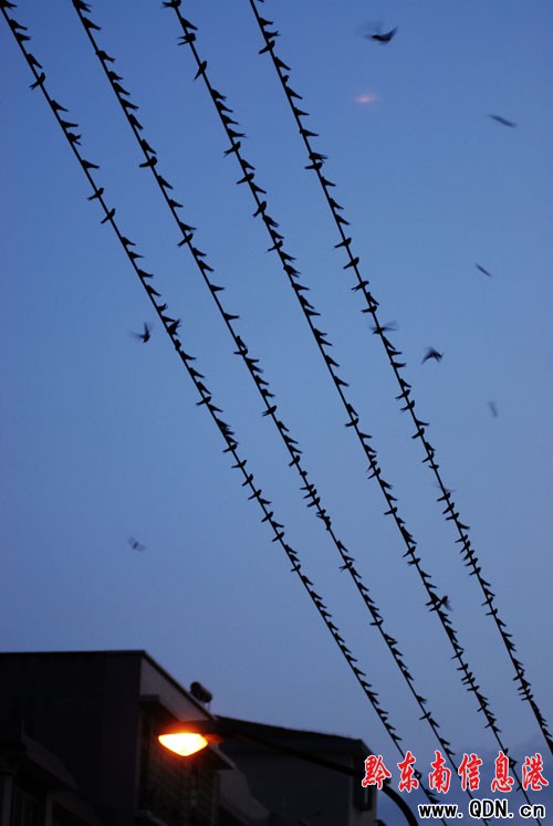 ��կ����(y��u)��С������(l��i)�f(w��n)ǧ�����w�����棨�D��