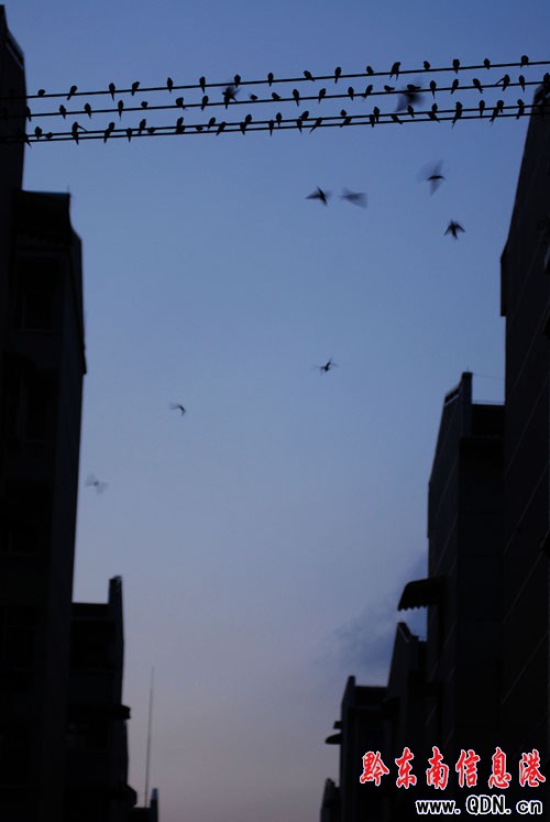 ��կ����(y��u)��С������(l��i)�f(w��n)ǧ�����w�����棨�D��