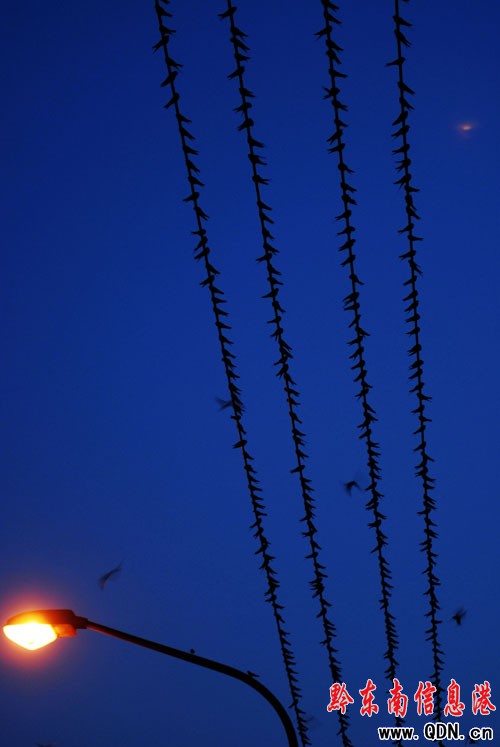 ��կ����(y��u)��С������(l��i)�f(w��n)ǧ�����w�����棨�D��