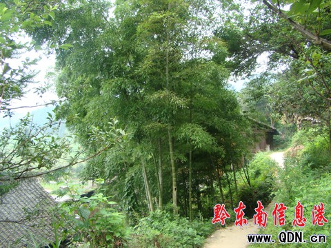 ��ƺ��Ȼ�L�����������M�D��