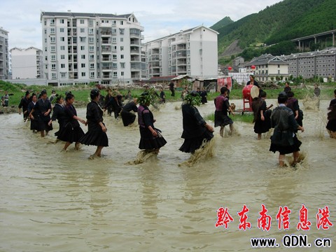 �����zӰ�Ҿ۽���������ˮ���裨�M�D��