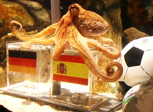 �w���鱣�o(h��)��(d��ng)���ᳫ�h�������~���_�Św��(�D)