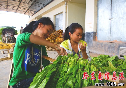 �\����ɽ����N���� �����r������430���fԪ���D��