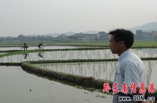 �\���Nֲݩ�j���r���¸�����·���D��