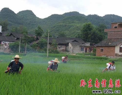 ��Ͷ��12�fԪ���ˮ�����x�������(zh��n)���D��