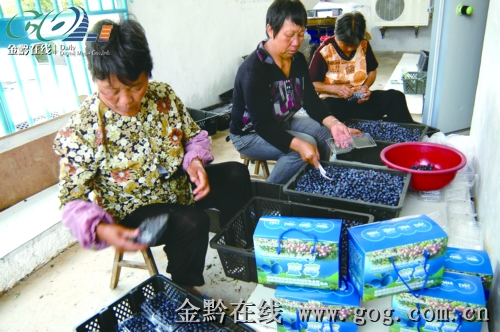 �齭�{ݮ�M��ʢ�a�ڣ��D��