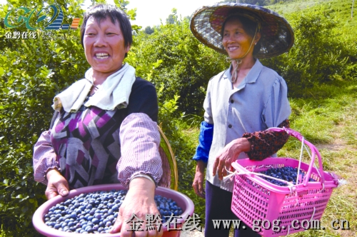 �齭�{ݮ�M��ʢ�a�ڣ��D��