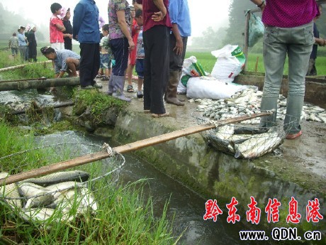 ��ɽһ�����~������Ͷ��? �f�l���~�������У��D��